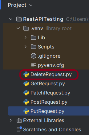 How to test DELETE Request Using Python Requests – QA Automation Expert